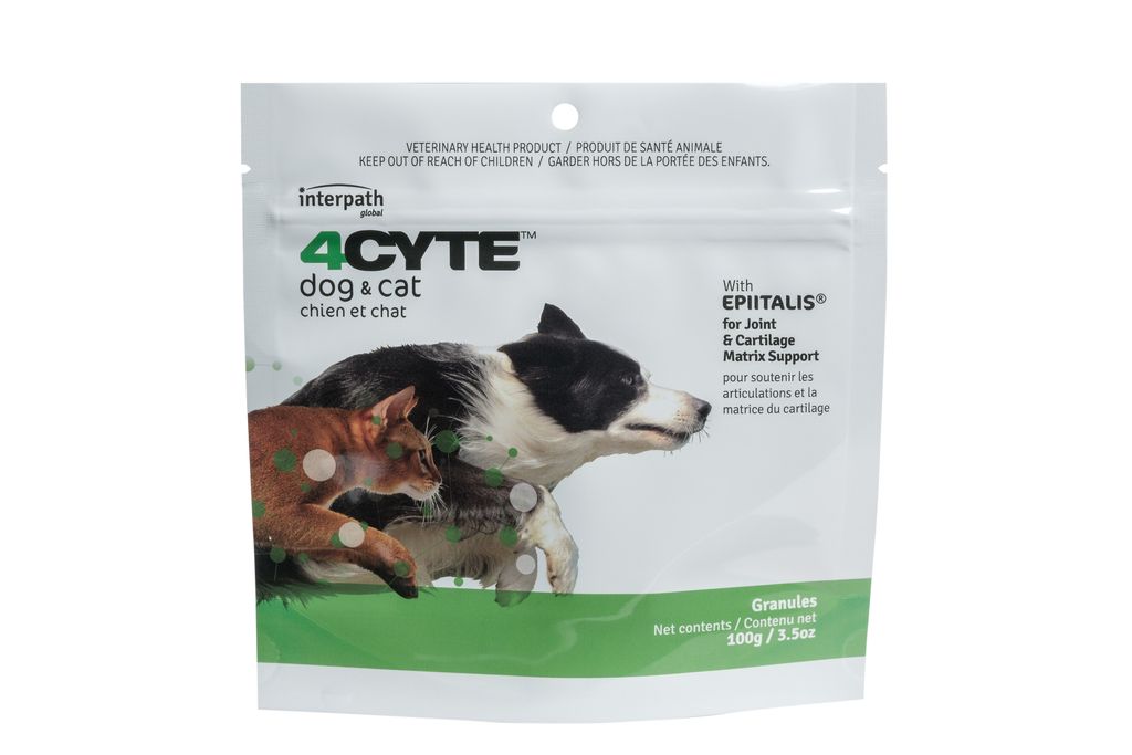 4CYTE pet supplement package for dogs and cats on a white background