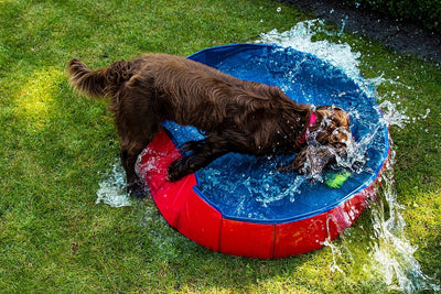 Dog Pool - Foldable Pet Swimming Pool for Summer Cooling by Nobby