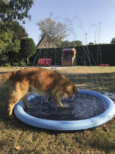 Dog Splash Pool - Anti-Slip Pet Pool with Fountain Feature Nobby
