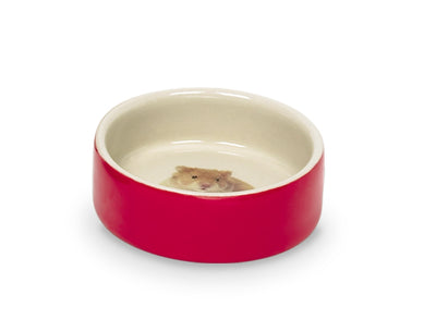 Red pet bowl with a beige interior on a white background