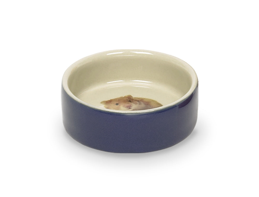 Blue and beige ceramic bowl with a small animal inside on a white background