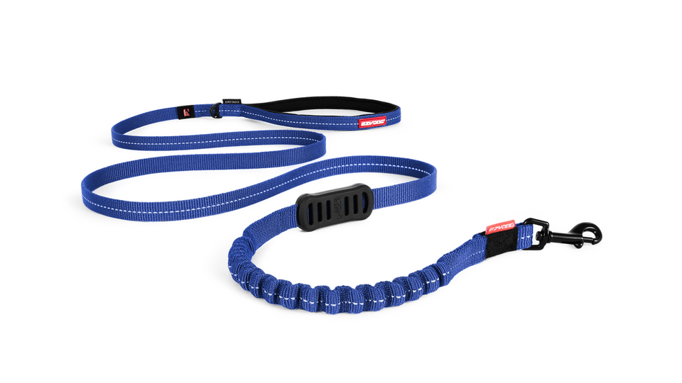 Ezy Dog leash Zero Shock Lite 15mm Blue