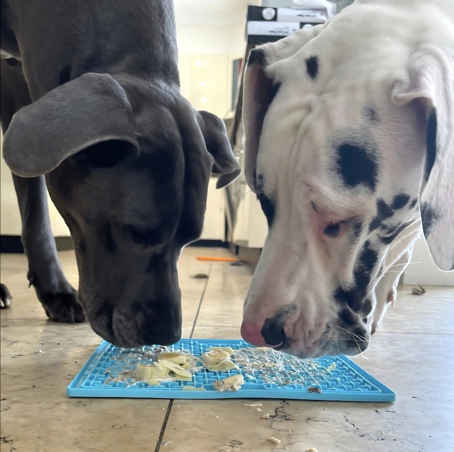 LickiMat Buddy XL - Extra Large Slow Feeder Licking Mat for Dogs & Cats | Turquoise