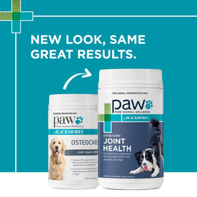 PAW Osteocare Joint Health Chews for Dogs - Premium Joint Support by Blackmores