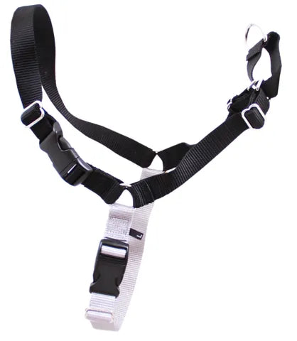Beau Gentle Leader Harness black