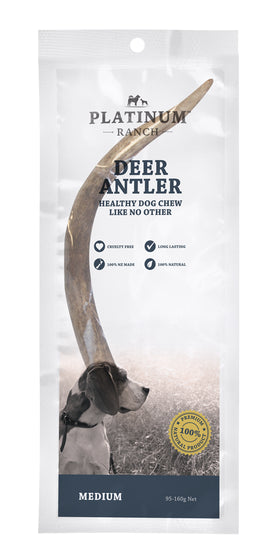Deer Antler in packaging Medium size 95-160g