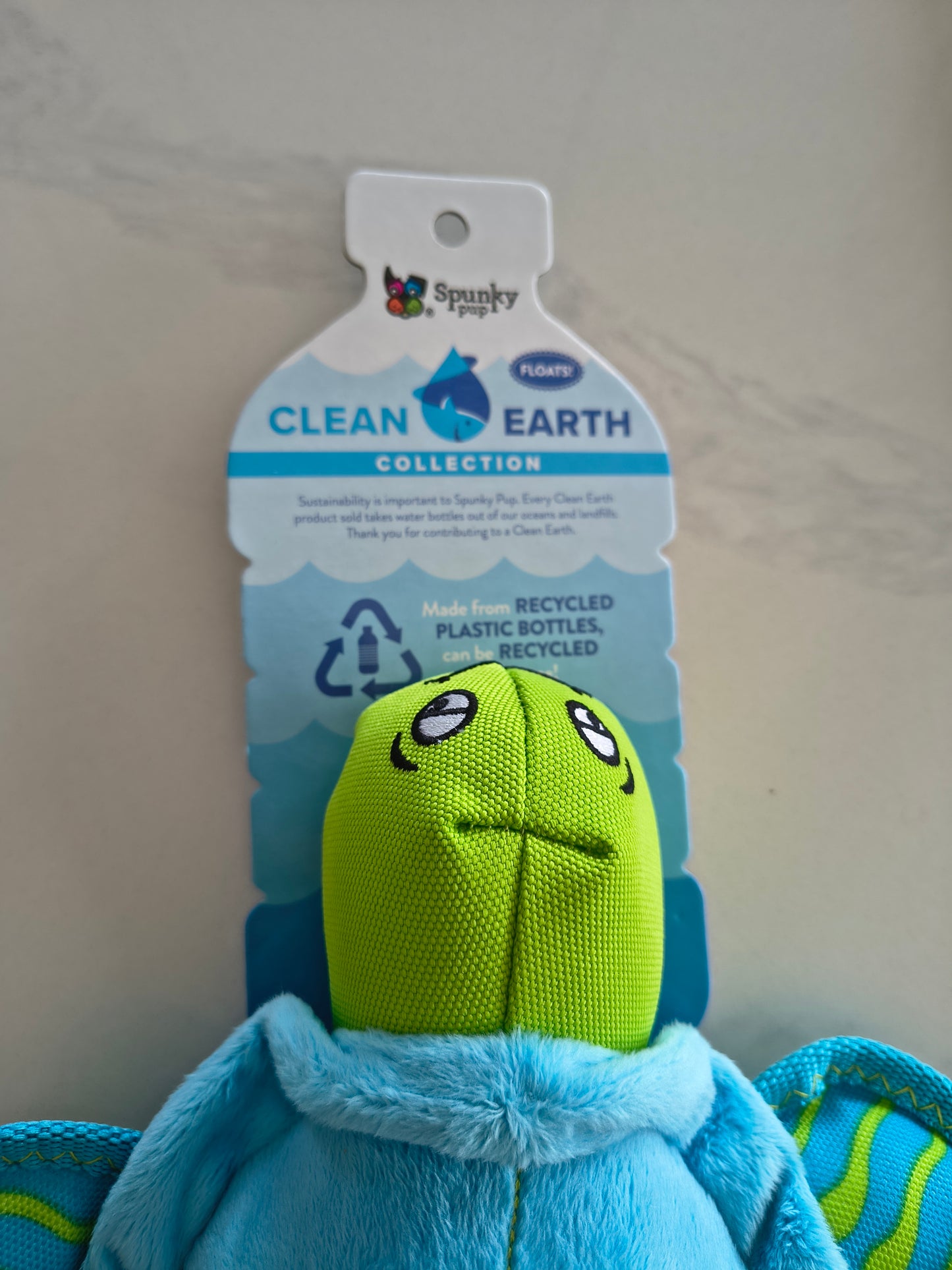 Spunky Pup Clean Earth Turtle Large