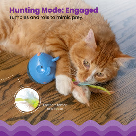 Cat playing with a toy designed to keep it guessing, with text encouraging interaction.