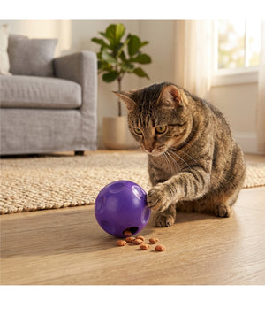 KONG Treat Dispensing Ball Cat Toy