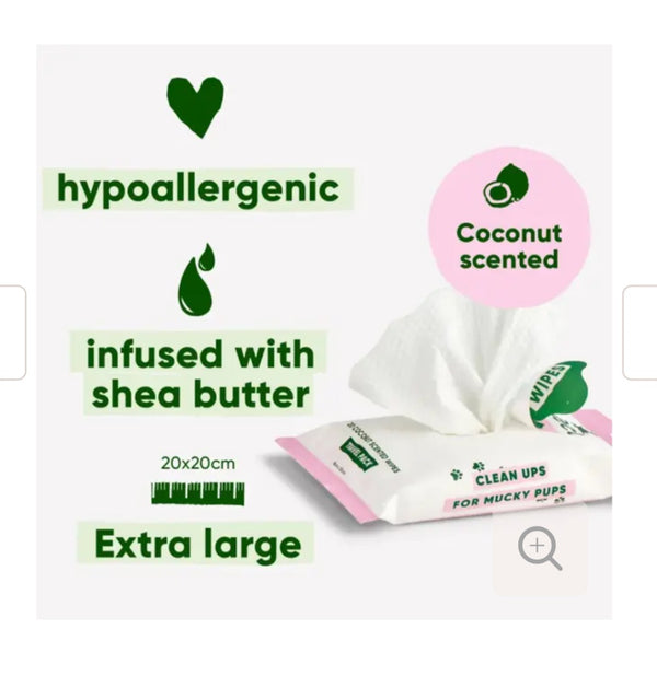 Beco Coconut Scented Dog Wipes - Travel Pack