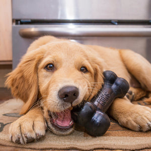 Kong Extreme goddie Bone