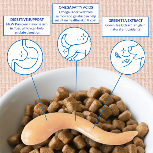 Dog food bowl with text highlighting omega fatty acids, digestive support, and green tea extract benefits.