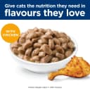Hill's Science Diet Adult Perfect Weight Cat Food 12 x 85g