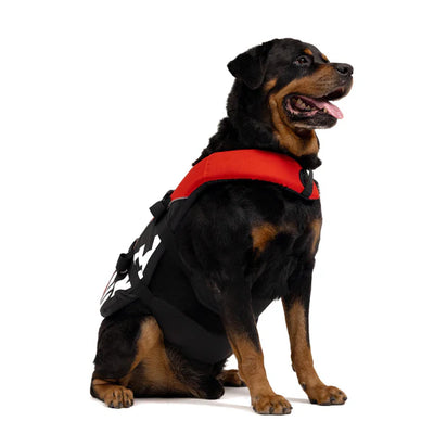 Ezy Dog DFD Dog Floatation device Life Jacket Red