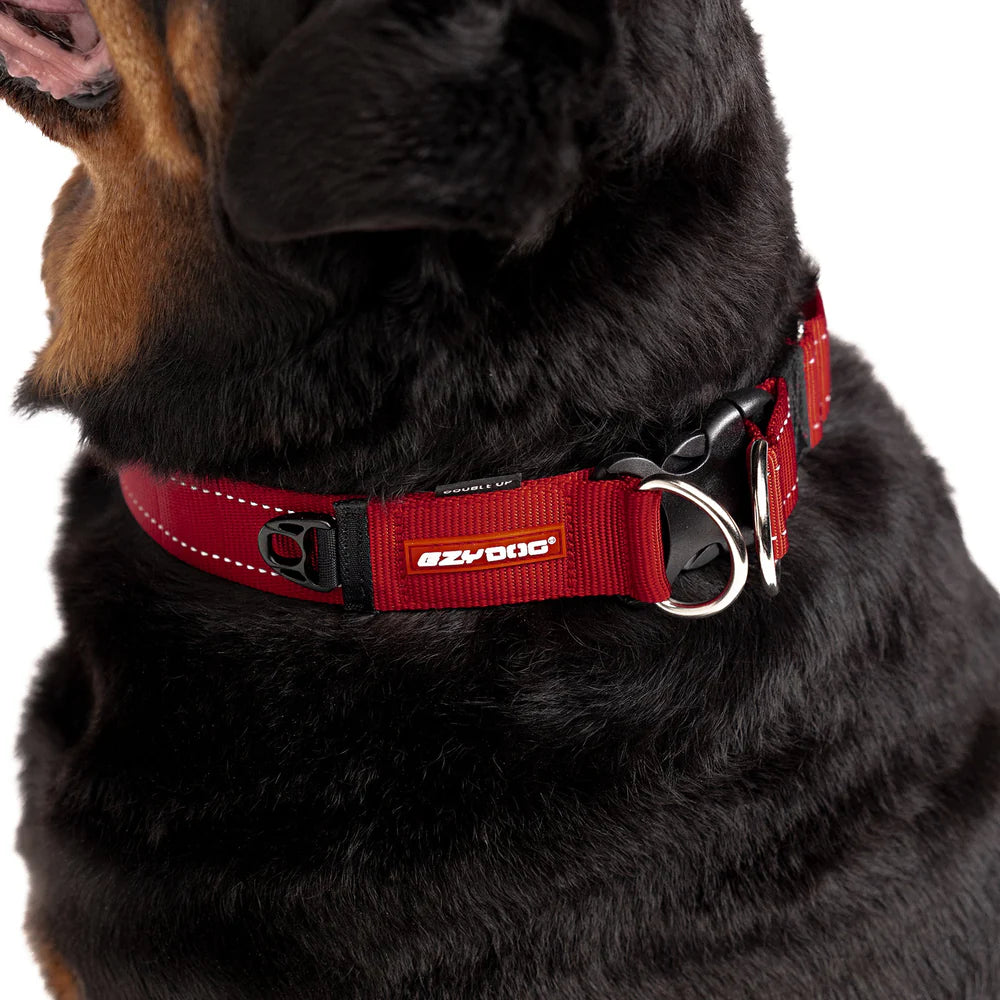 EzyDog Double Up Dog Collar - Premium Nylon with Dual D-Rings & Reflective Stitching
