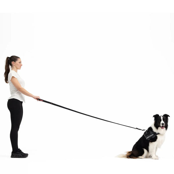 EzyDog Vario 4 Multi-Function Dog Leash - Premium Adjustable Lead with Soft Touch Webbing