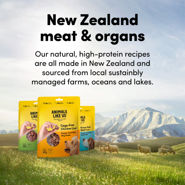 Dog food packages with text about New Zealand sourcing and natural recipes, set against a scenic background.