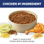 Dog food bowl with Hills pet food, chicken leg, corn, and seeds on a white background