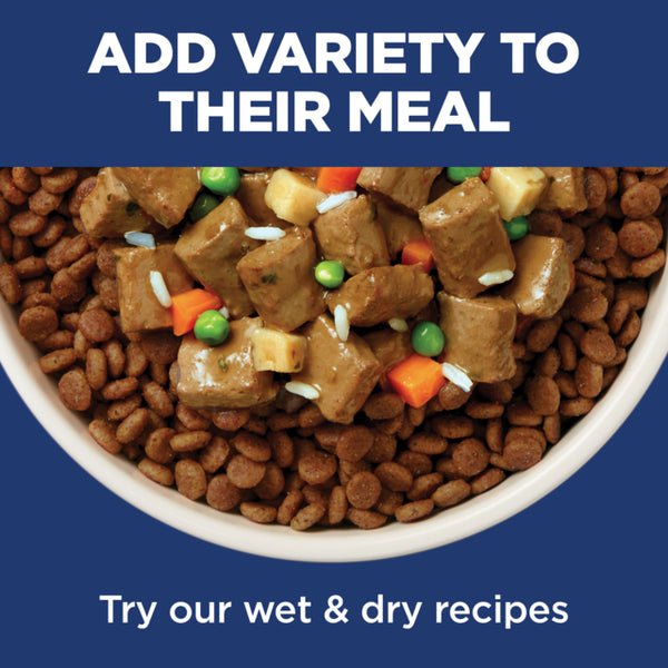 Dog food bowl with dry kibble and wet pet food on a blue background with text promoting variety in meals.