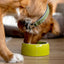 Ceramic Dog & Cat Bowl 250ml - Feeding Trough by Nobby