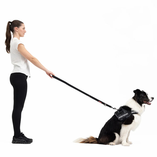 EzyDog Vario 4 Multi-Function Dog Leash - Premium Adjustable Lead with Soft Touch Webbing