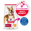 Hills Science Diet dog food package with Activbiome+ label on a white background