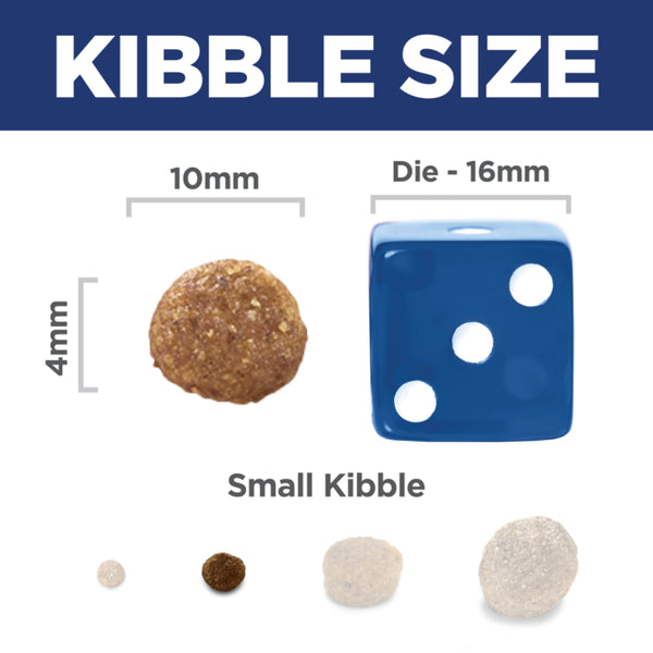Comparison of small kibble size with a die for measurement on a white background.