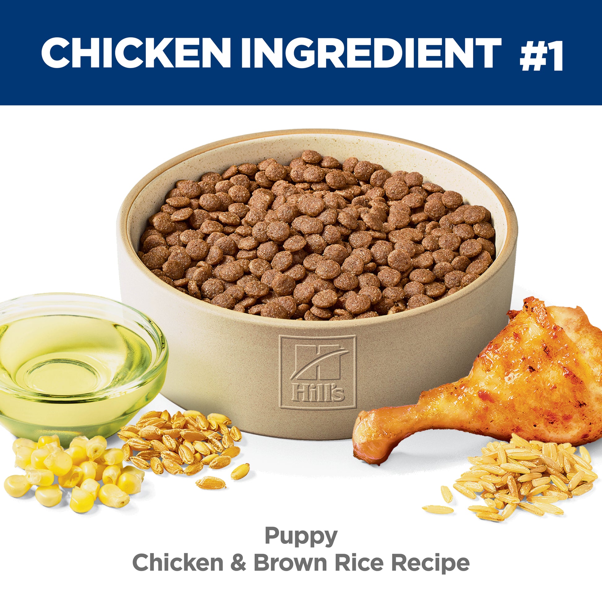 Hills puppy food with chicken, brown rice, corn, and a chicken leg on a white background.