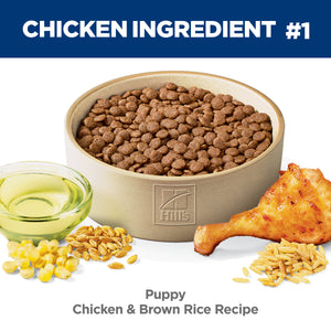 Hills puppy food with chicken, brown rice, corn, and a chicken leg on a white background.