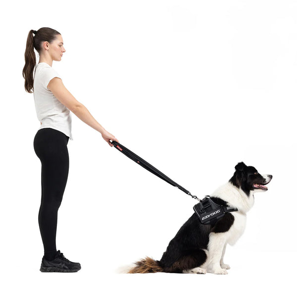 EzyDog Vario 4 Multi-Function Dog Leash - Premium Adjustable Lead with Soft Touch Webbing