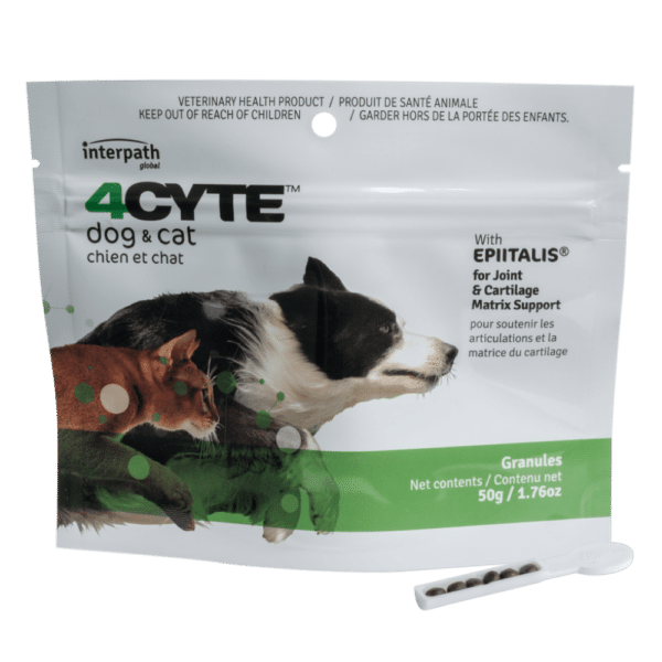 4CYTE dog and cat supplement package with images of a dog and cat on a white background