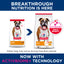 Two packages of Hill's Science Diet dog food with a dog on the label, featuring Activbiome+ technology.