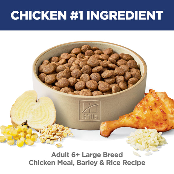 Bowl of Hills dog food with chicken, barley, and rice ingredients on a white background