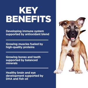 Dog with key benefits text on a blue background