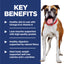 Dog with a red collar on a white background, next to key benefits text on a blue background.