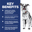 Dog with key benefits text on a blue and white background