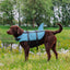 buoyancy aid "Sharki Blue & Pink Nobby - dog alone by lake