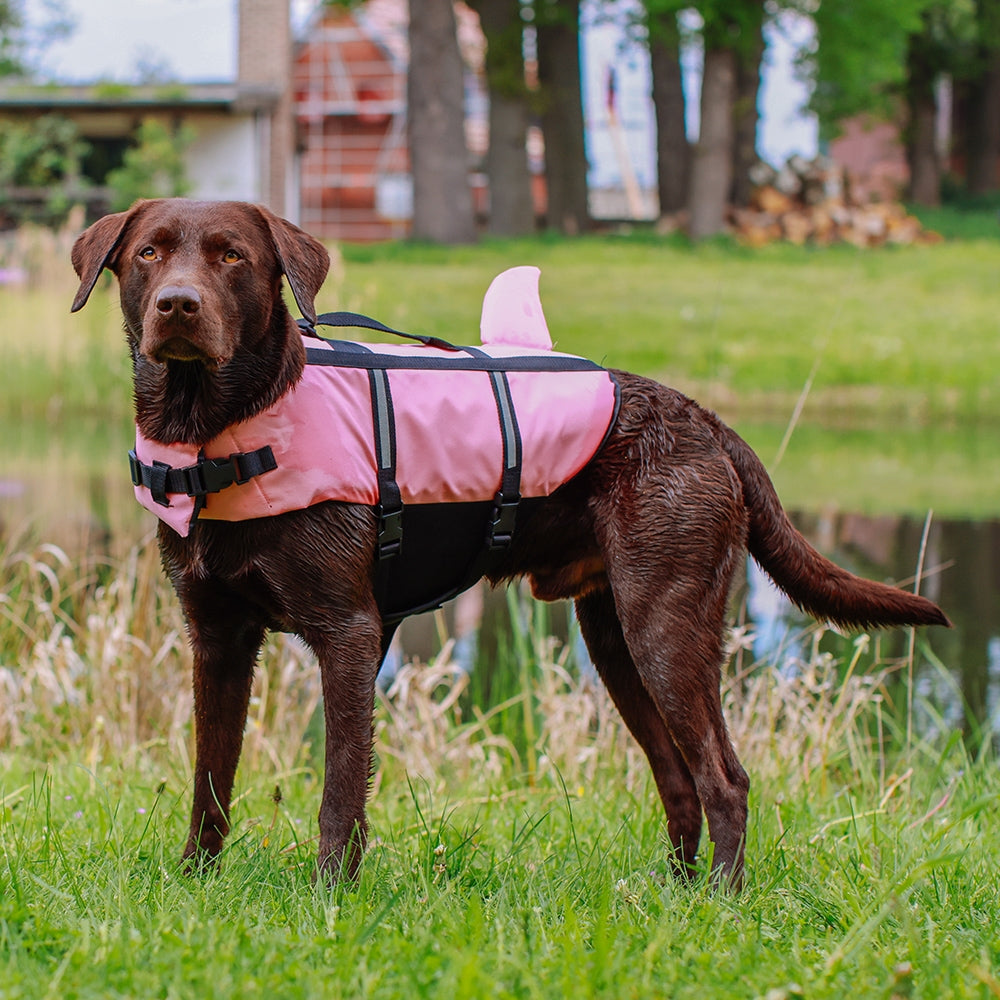 Dog wearing a pink sharki life jacket standing on grass near a body of water.