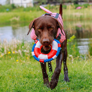 Dog wearing a pink sharki life jacket and holding a life ring by a pond