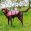Dog wearing a pink sharki life jacket in a grassy outdoor setting - side view