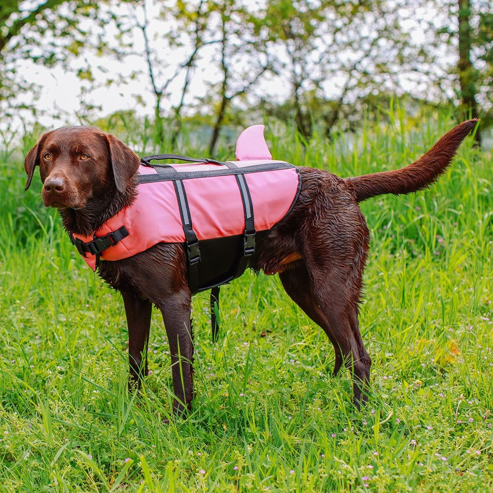 Dog wearing a pink sharki life jacket in a grassy outdoor setting - side view