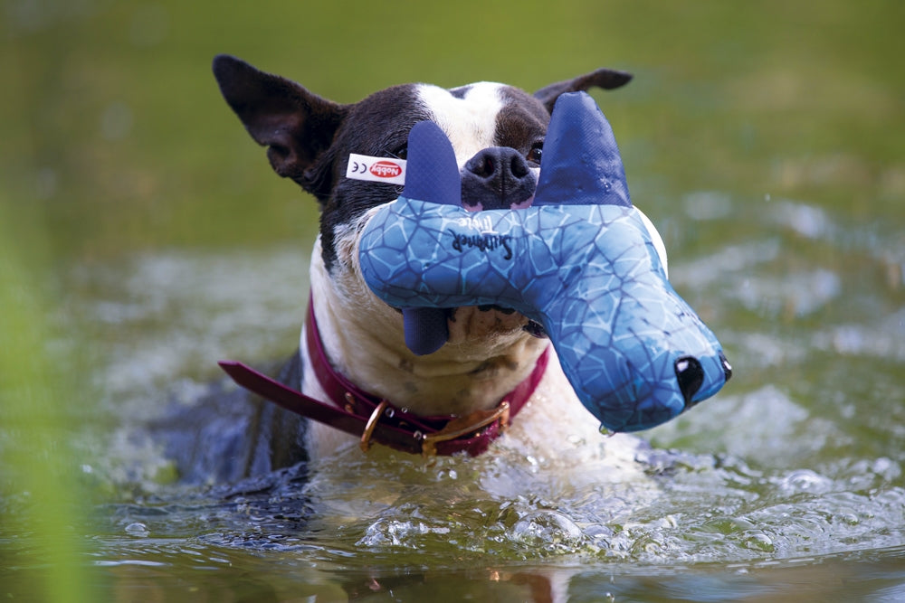 Dog Water Toy Floating - Neoprene Waterplay Toy with Squeaker | Whale, Duck & Seal