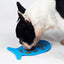 Dog eating from a blue silicone mat on a white background