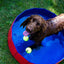 Dog Pool - Foldable Pet Swimming Pool for Summer Cooling by Nobby