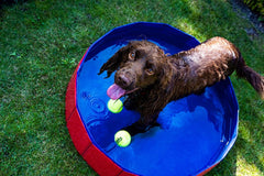 Nobby Foldable Dog Pool