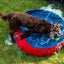 Dog Pool - Foldable Pet Swimming Pool for Summer Cooling by Nobby