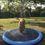 Dog Splash Pool - Anti-Slip Pet Pool with Fountain Feature Nobby