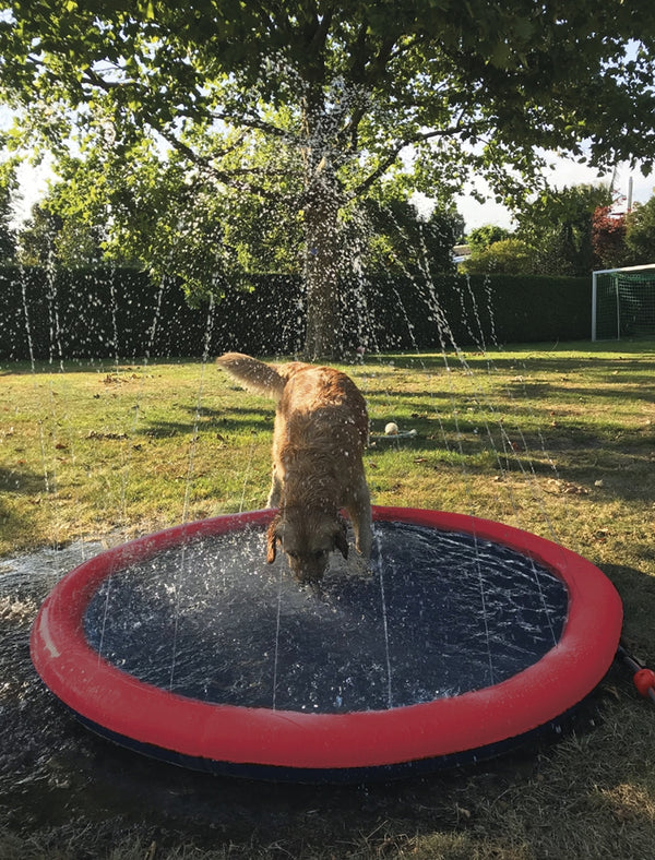 Nobby Dog Splash Pool with Fountain