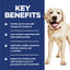Dog with key benefits text on a blue background