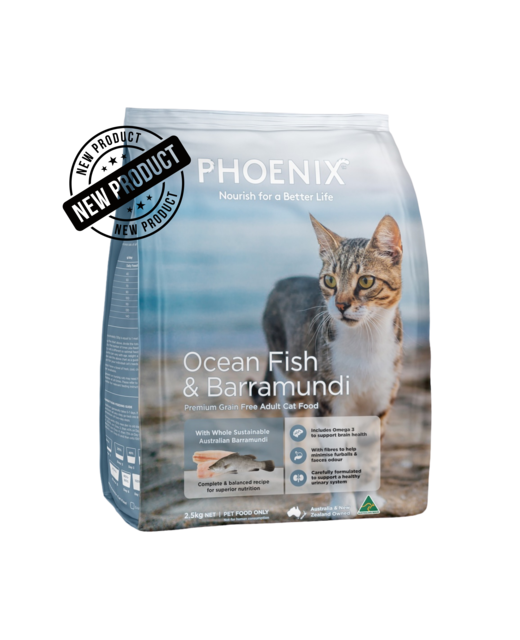 Phoenix Adult Ocean Fish & Barramundi Dry Cat Food